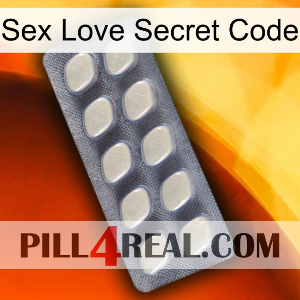 Sex Love Secret Code 08.jpg